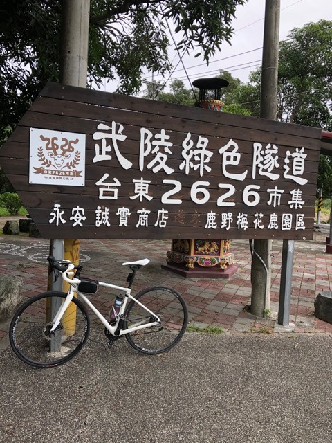 (2020冬) 🚴🚴 台東慢活 五日自由騎