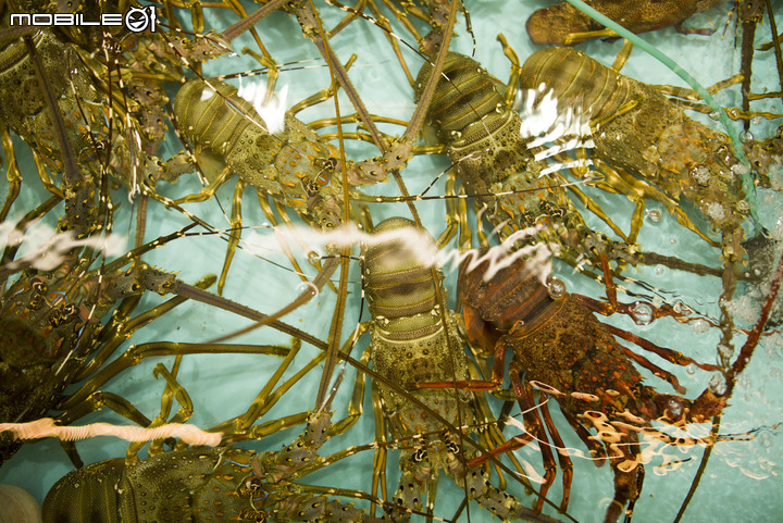 I'm lost in 香港 _ 港劇之旅_DAY05 已完結