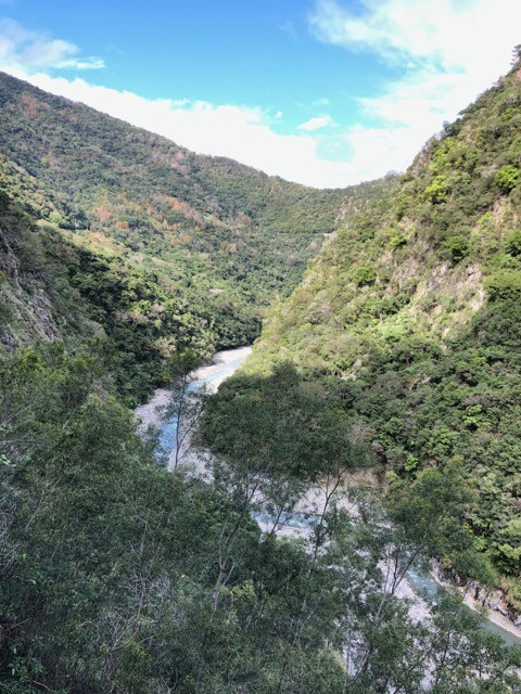 (2020冬) 🚴🚴 台東慢活 五日自由騎