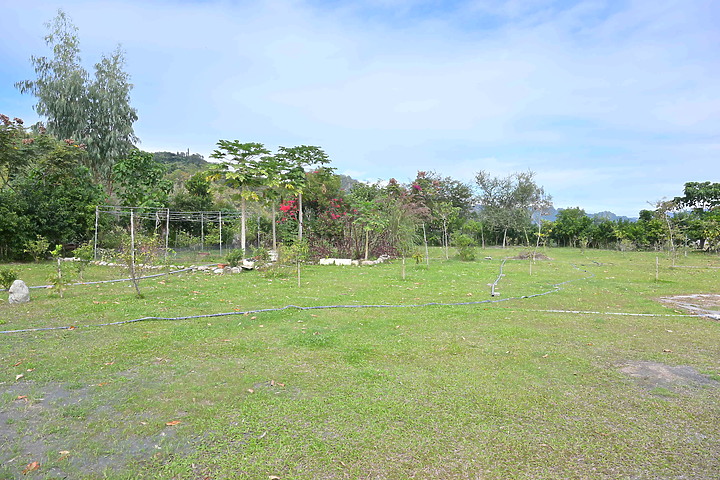 到台東拍到遊隼垂直俯衝，欣賞小黃山、卑南溪、富源觀景台、卑南溪水利公園、頂岩灣四格山和美濃冰品。