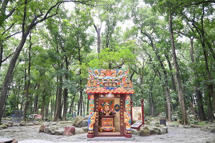 來潮州八大森林魔法樂園享受平地的森林浴吧！