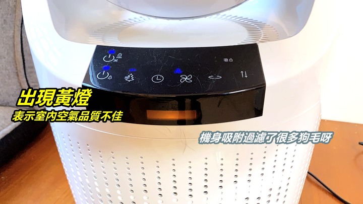 【試用】寵物家庭必備/acerpure cool 2合1空氣循環清淨機