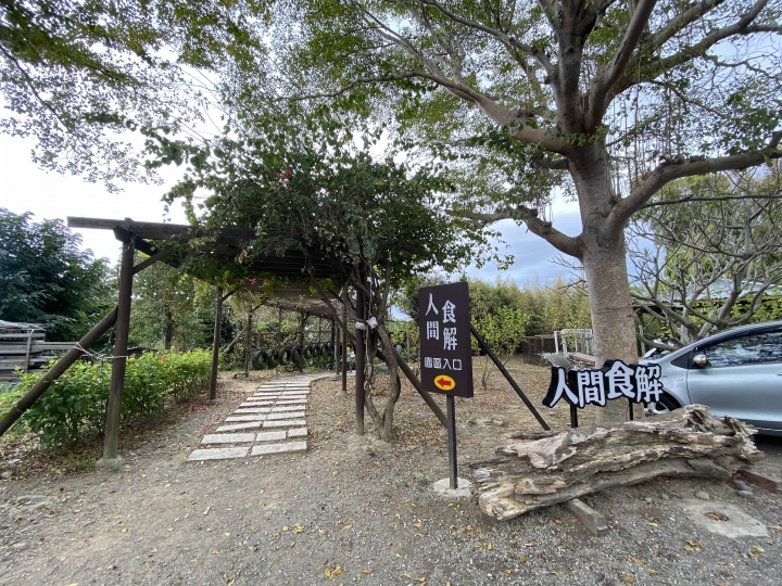 台中沙鹿古早味庭園餐廳.遊戲室.小橋流水.落羽松「人間食解生態養生坊」