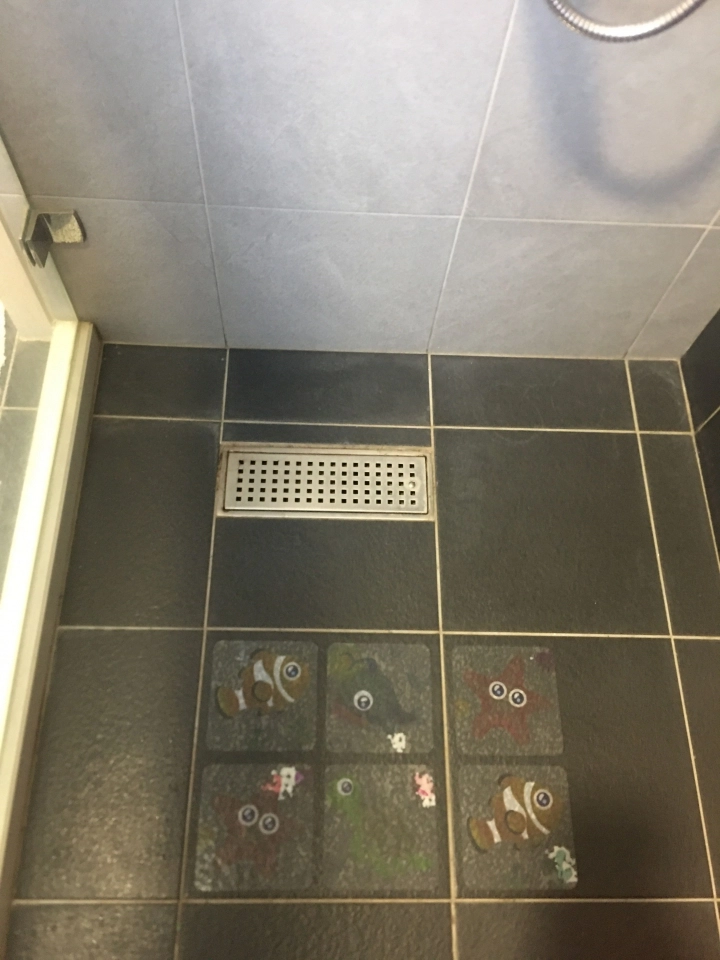 浴室排水孔問題 Mobile01 浴室排水孔問題 Mobile01