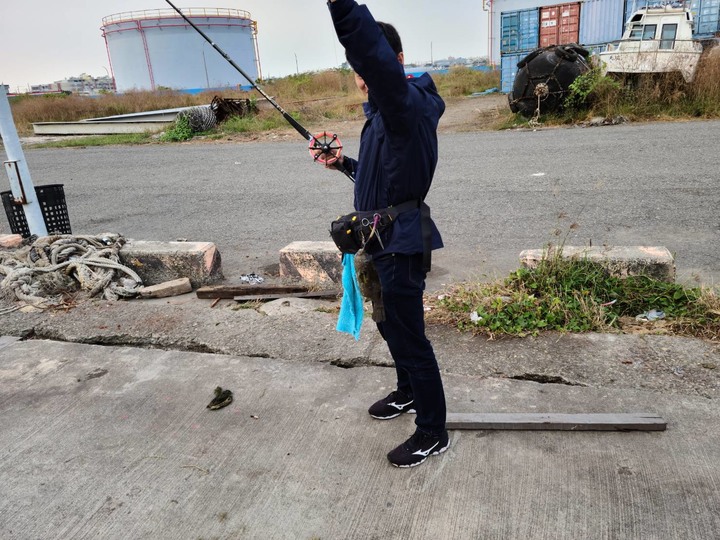 【新聞小洞傳奇】原來漁港道路旁小洞真的有魚 /紅槽/包公/海雞母 高雄&台南