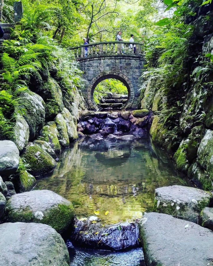 台北信義區爆紅虎山登山步道！感受愜意的小橋流水、綠樹成蔭環繞