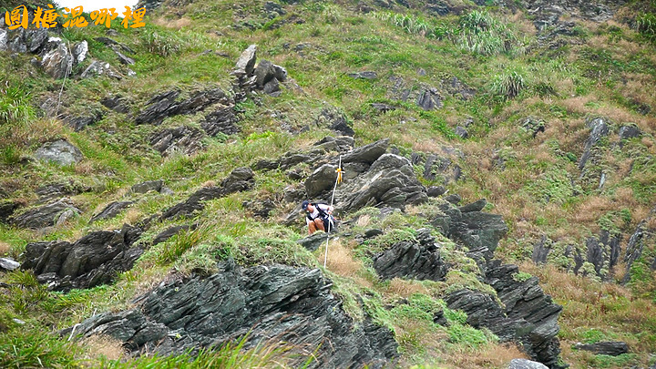 【烏岩角】挑戰史上最陡峭壁|蘇花公路直接下切|中央山脈起點|烏岩角野營|圓糖混哪裡最狂企劃|