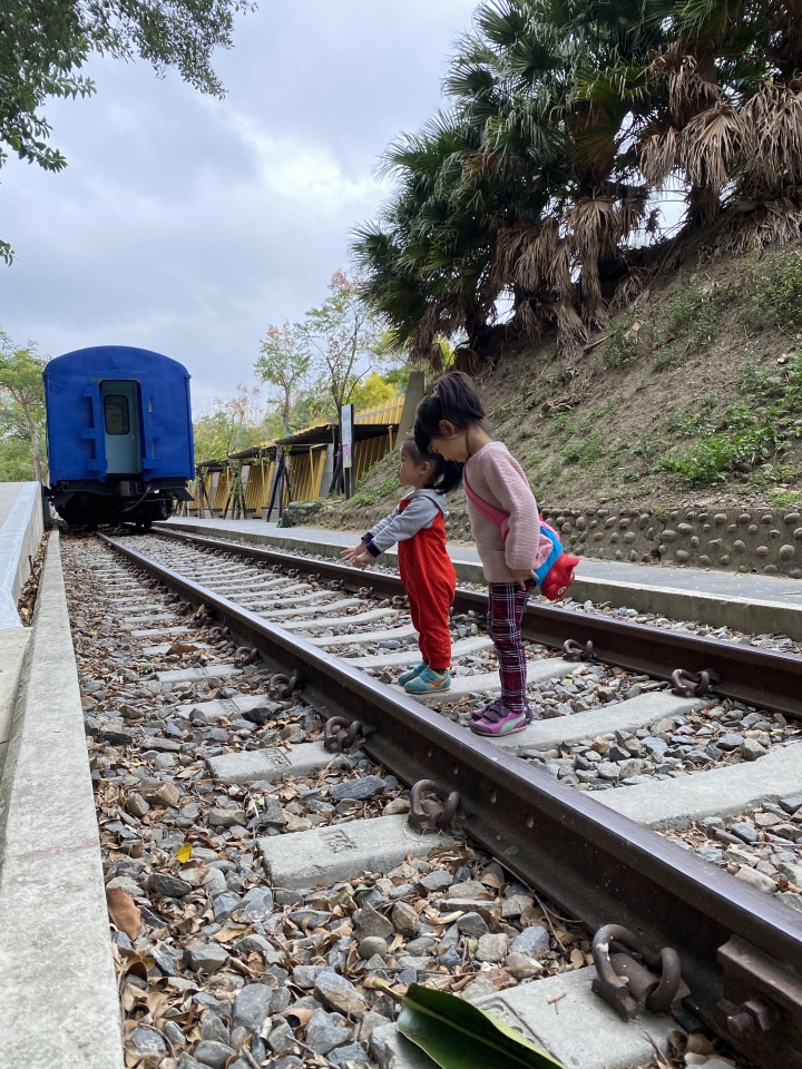 全台最美隧道～苗栗貓貍山功維敘隧道