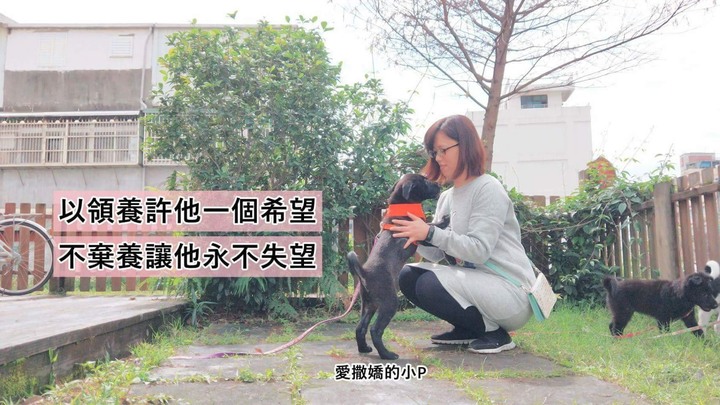【試用】寵物家庭必備/acerpure cool 2合1空氣循環清淨機