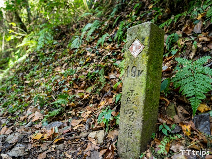 霞喀羅古道楓葉季一日遊