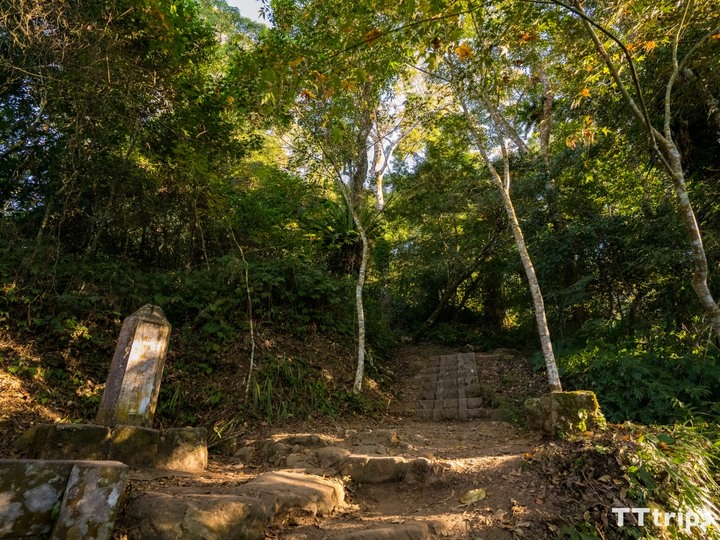 馬拉邦山楓葉季一日遊：登山步道、難度、交通整理