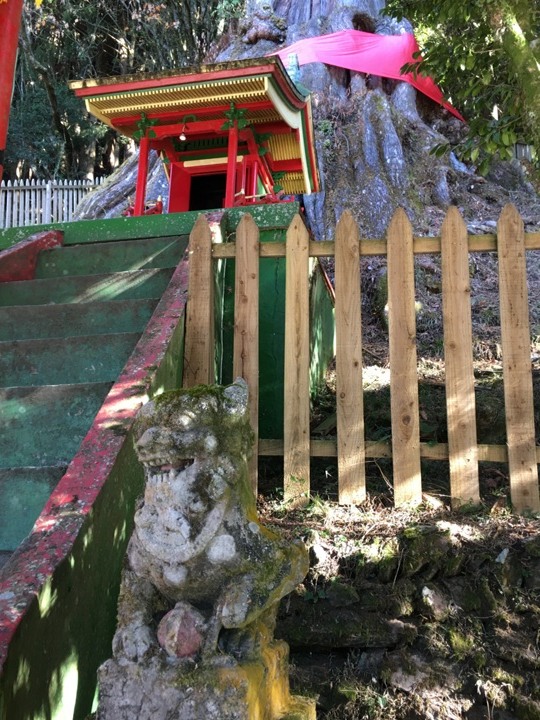 「坐車比爬山還累的百岳」-郡大山