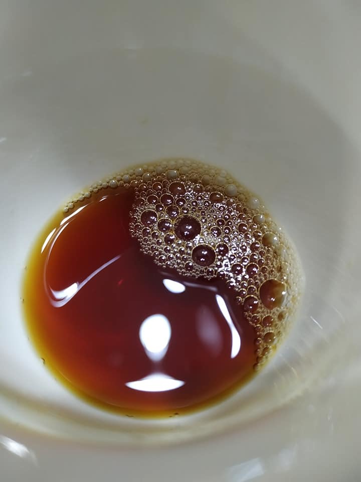 咖啡小日子-哥斯大黎加 清酒厭氧靜置處理法 樂貝多