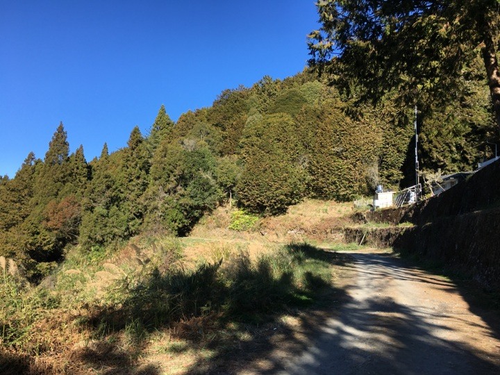 「坐車比爬山還累的百岳」-郡大山