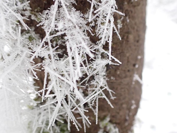 雪之加羅湖