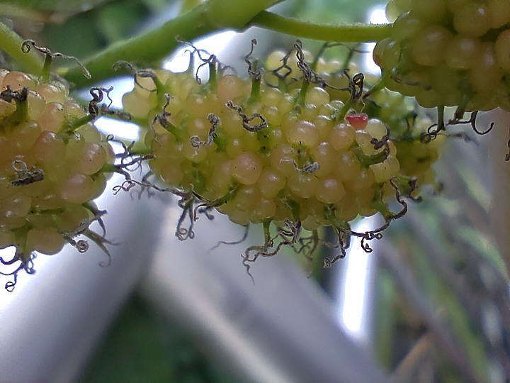 HTC照片分享樓