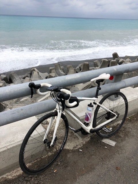 (2021) 🚴🚴 跨年單車環島趣 9天8夜 (捷安特)