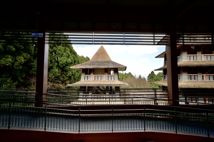 Sony 20mm F1.8 心得分享