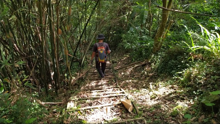 [樂山童盟] [新北坪林] 漁光國小通學古道-大舌湖步道-大舌湖越嶺古道-大舌湖山