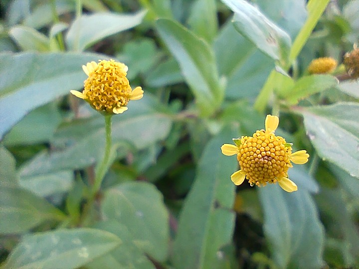 HTC照片分享樓