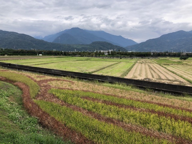 (2021) 🚴🚴 跨年單車環島趣 9天8夜 (捷安特)