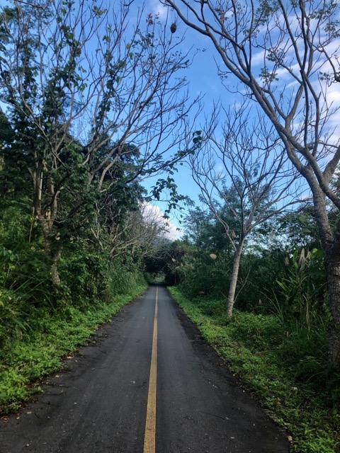 (2021) 🚴🚴 跨年單車環島趣 9天8夜 (捷安特)