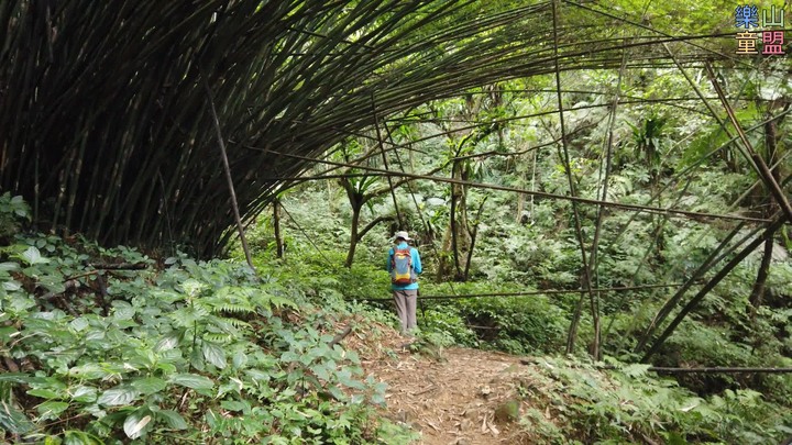 [樂山童盟] [台北文山] 二格山登山步道(南邦寮山-二格山)