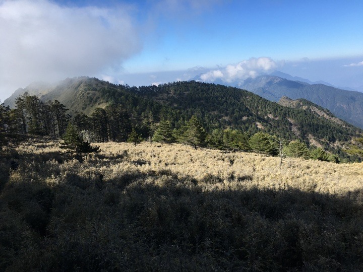 「坐車比爬山還累的百岳」-郡大山