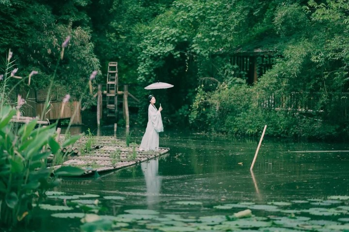 怎麼爭,都爭不過天道(深度好文)