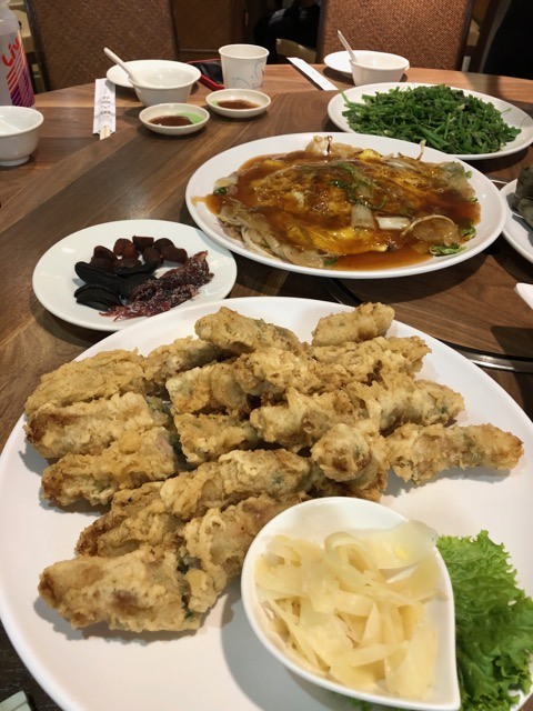 (2021) 🚴🚴 跨年單車環島趣 9天8夜 (捷安特)