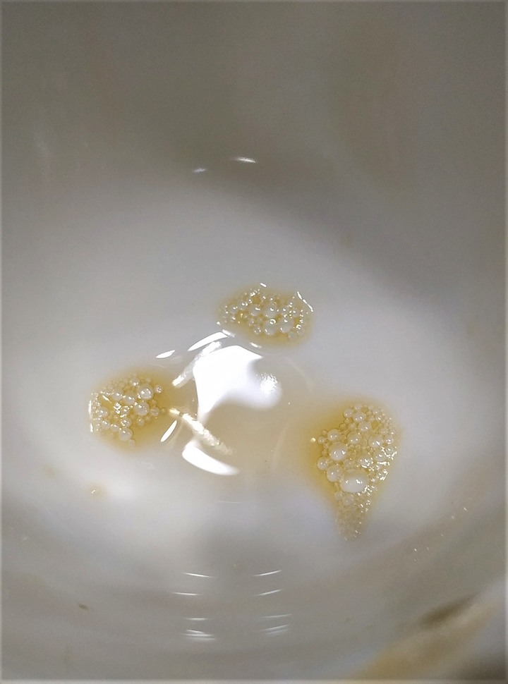 咖啡小日子-哥斯大黎加 陳高厭氧靜置處理法 樂貝多