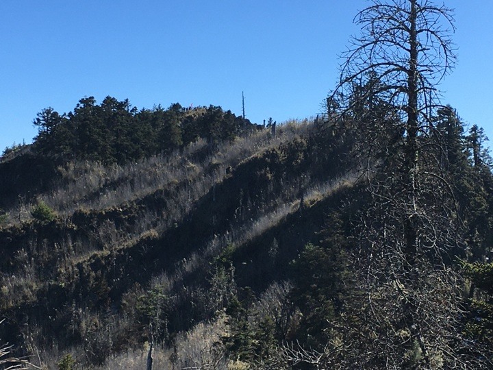 「坐車比爬山還累的百岳」-郡大山