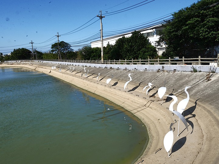 桃園 楊梅 富岡三連陂 －2018 地景藝術節之「粼粼波光、翩翩白影」，真鳥、假鳥、天上大鐵鳥歡聚一堂