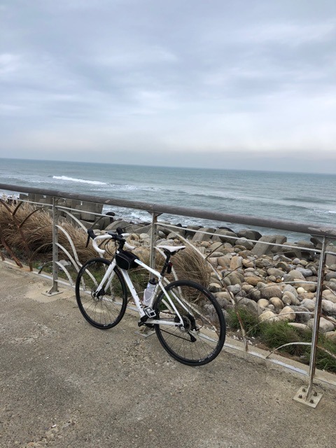 (2021) 🚴🚴 跨年單車環島趣 9天8夜 (捷安特)