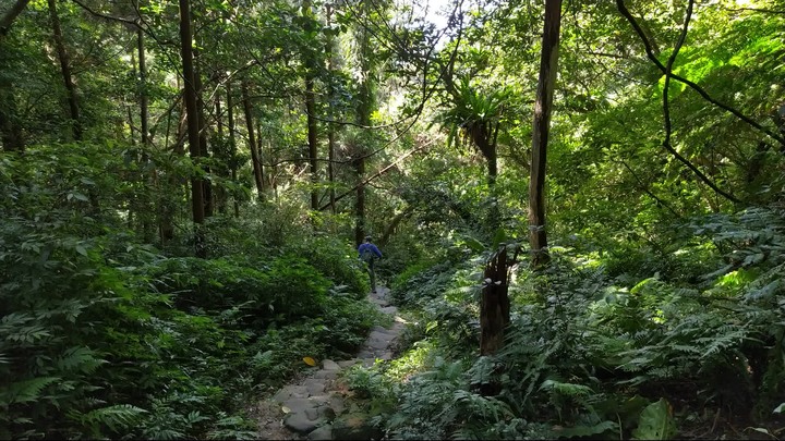 [樂山童盟] [台北文山] 二格山登山步道(南邦寮山-二格山)