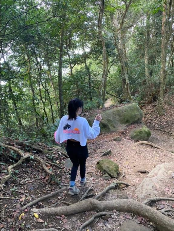 苗栗大湖|馬那邦山.賞楓推薦路線,三角點視野佳,眺望聖稜線