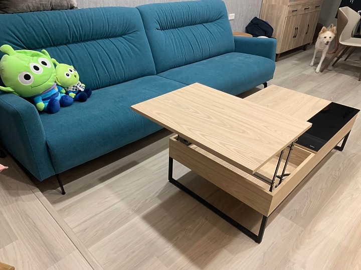 【開箱】北極熊家具-沙發 茶几!
