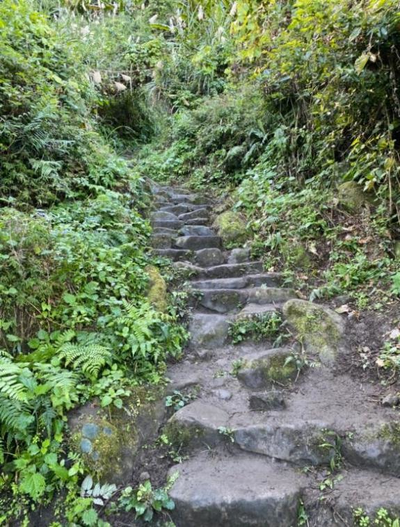 苗栗大湖｜馬那邦山．賞楓推薦路線，三角點視野佳，眺望聖稜線