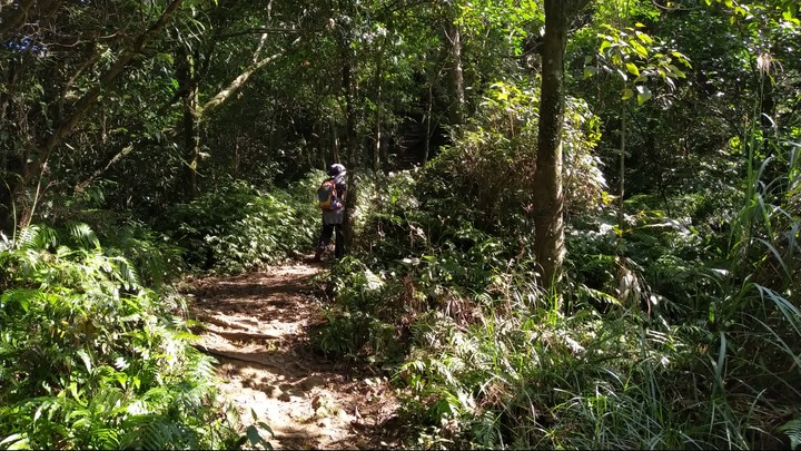 [樂山童盟] [台北文山] 二格山登山步道(南邦寮山-二格山)