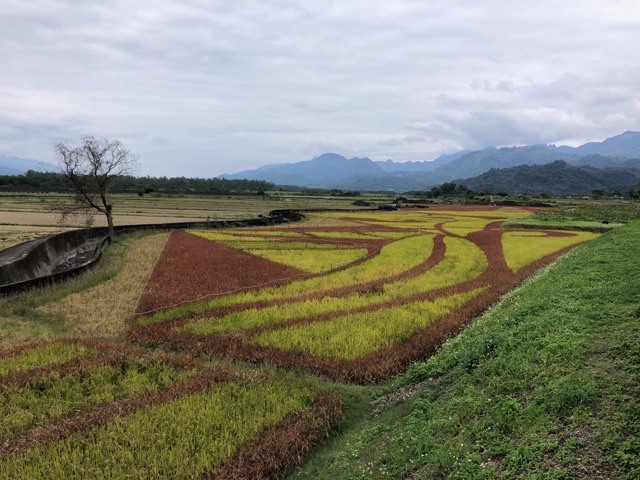 (2021) 🚴🚴 跨年單車環島趣 9天8夜 (捷安特)