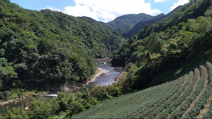 [樂山童盟] [新北坪林] 漁光國小通學古道-大舌湖步道-大舌湖越嶺古道-大舌湖山