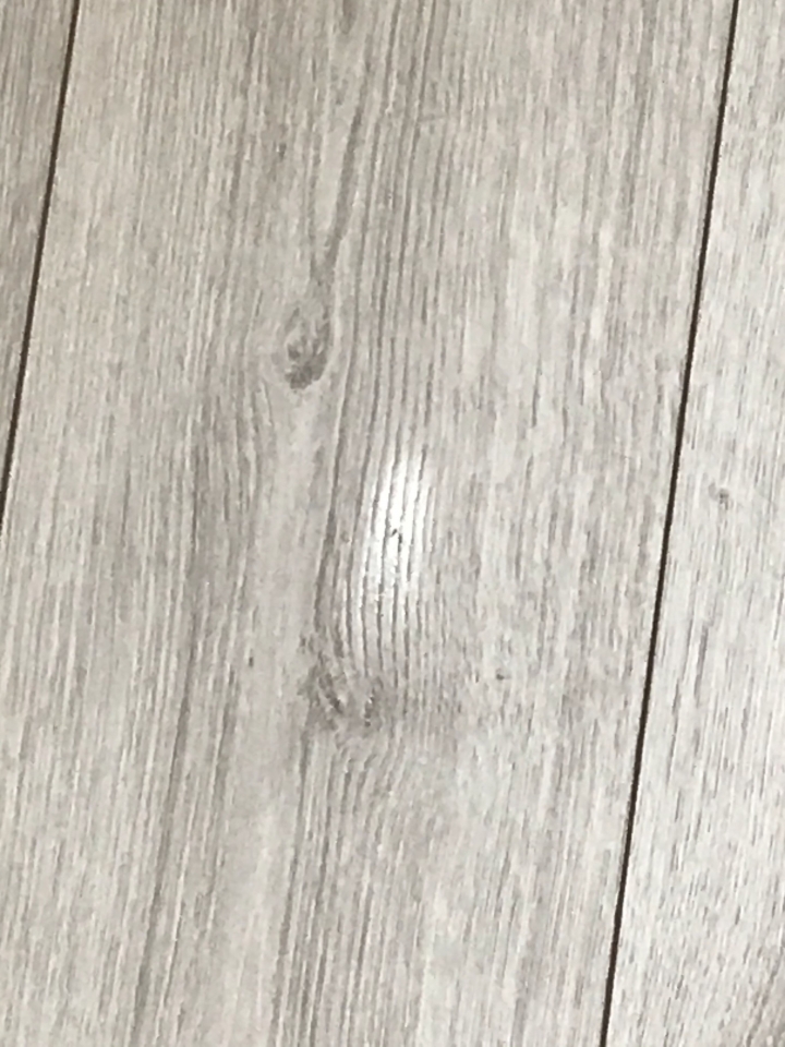 EGGER木地板請益