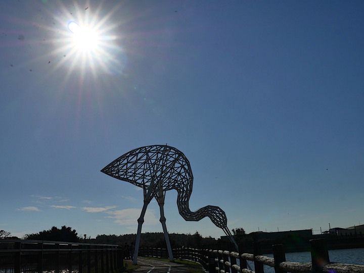 桃園 楊梅 富岡三連陂 －2018 地景藝術節之「粼粼波光、翩翩白影」，真鳥、假鳥、天上大鐵鳥歡聚一堂