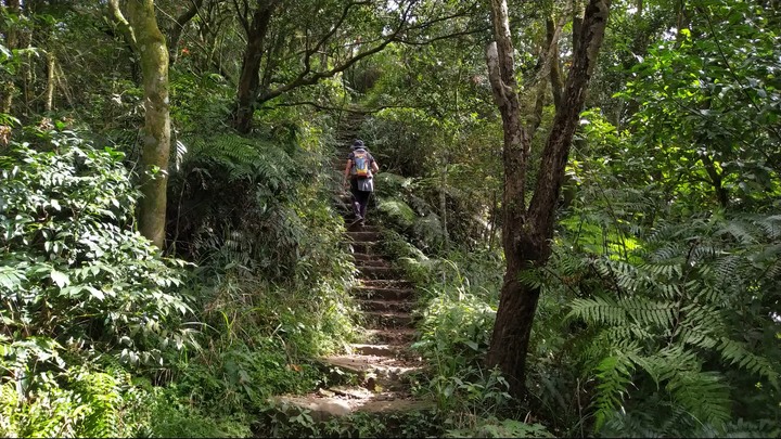 [樂山童盟] [台北文山] 二格山登山步道(南邦寮山-二格山)