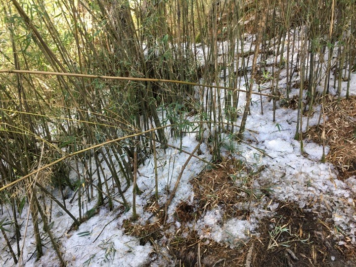 「坐車比爬山還累的百岳」-郡大山
