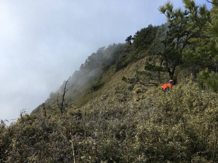 「坐車比爬山還累的百岳」-郡大山