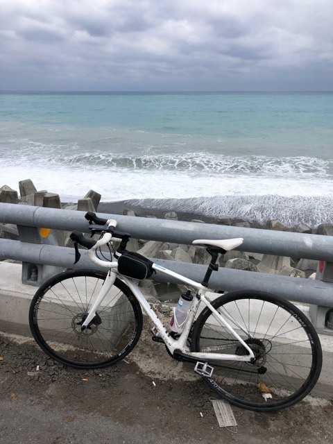 (2021) 🚴🚴 跨年單車環島趣 9天8夜 (捷安特)