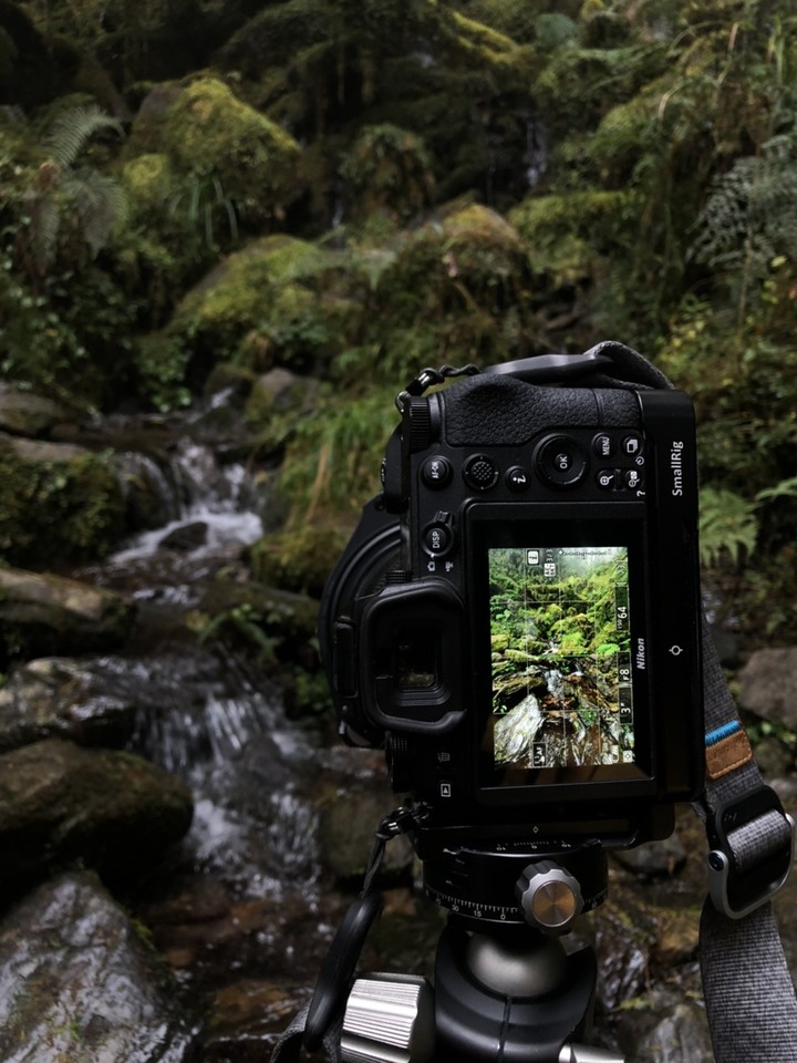 「雨雲逃離計畫」我與NIKON Z7 II的冬季大逃亡