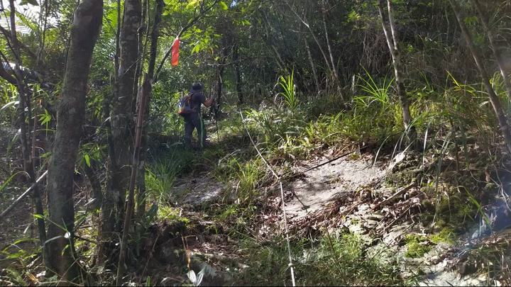 [樂山童盟] [新北坪林] 漁光國小通學古道-大舌湖步道-大舌湖越嶺古道-大舌湖山