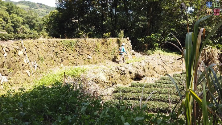 [樂山童盟] [新北坪林] 漁光國小通學古道-大舌湖步道-大舌湖越嶺古道-大舌湖山